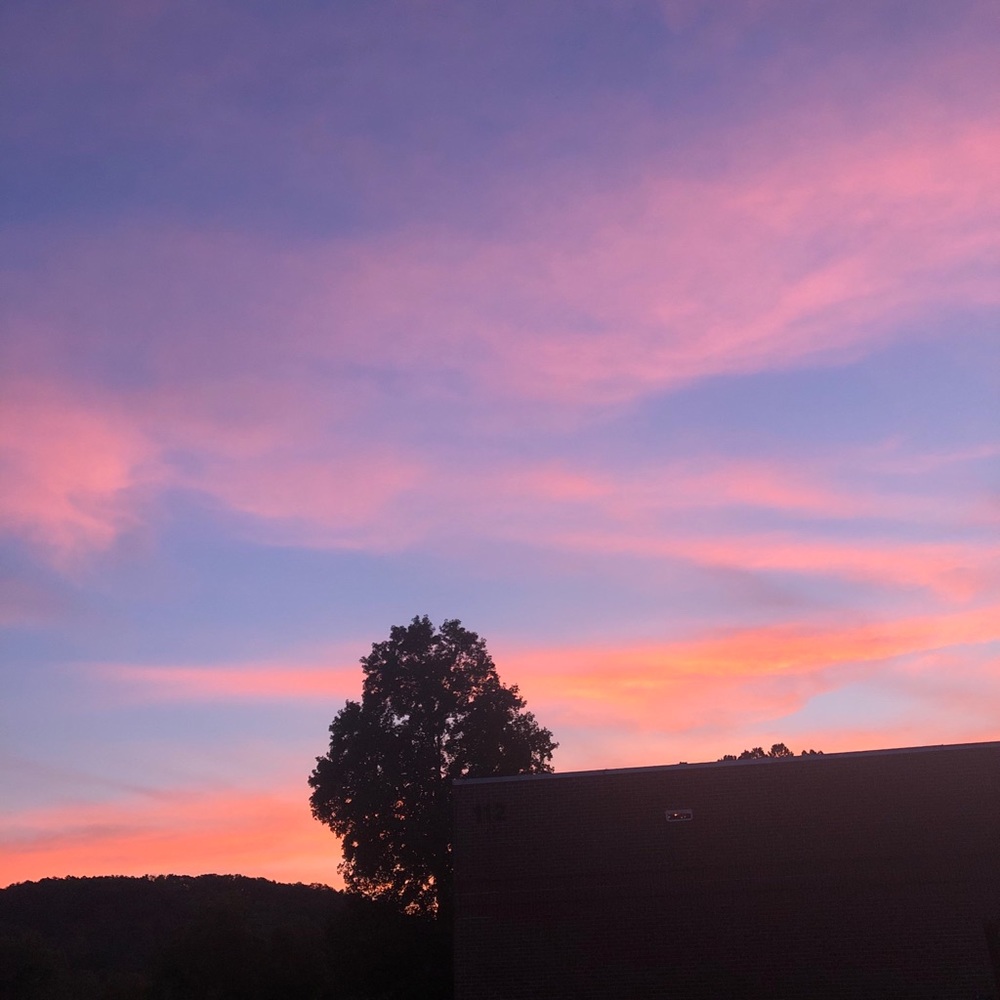 Meet your Posher, Sean